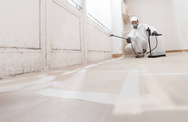24/7 Emergency Attic Mold Remediation experts in Spring City, PA