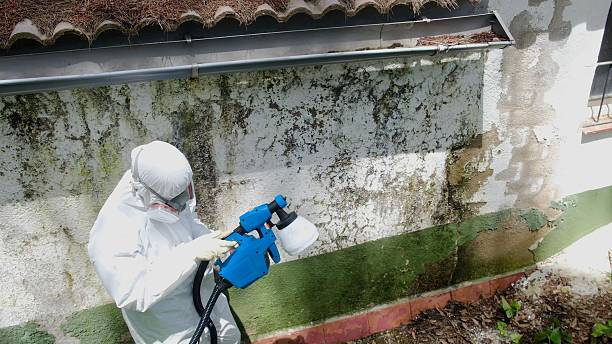 Top rated local Attic Mold Remediation specialists in Spring City, PA